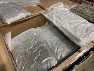 Douane ontdekt 818 kilogram cannabis in kartonnen dozen in Antwerpse haven: tot 8 miljoen euro waard
