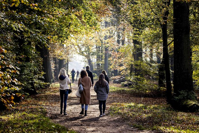 Steeds meer mensen trekken er tijdens deze lockdown op uit in de natuur.