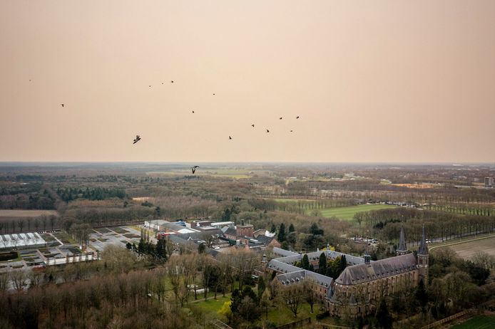Een dronefoto van Saharastof in de lucht. De grote wolk zorgt voor een oranje gloed in de lucht en laat een laag fijn zand achter op de auto’s.