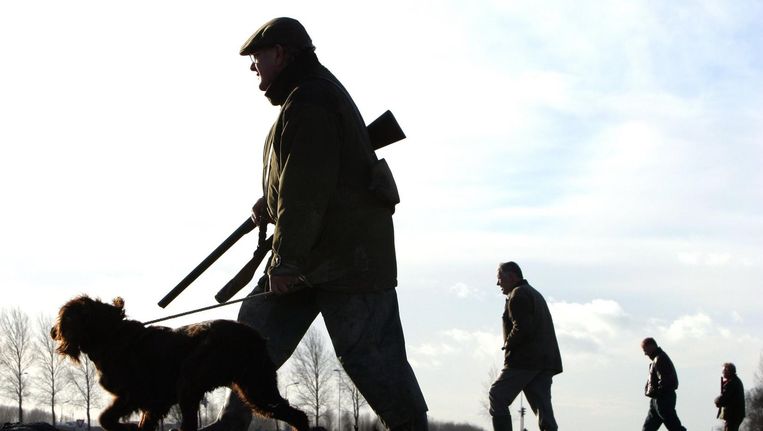 Groep jagers, met hond in het open veld van de Haarlemmermeer. Beeld anp