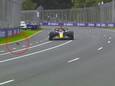 Max Verstappen en de vogel.