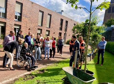 Honderdjarige Jac uit Leende is bijzondere jubileumboom en anekdote rijker