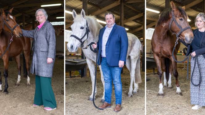 Dendermonde, Aalst en Sint-Niklaas gaan strijd met elkaar aan voor kampioenschap tegelwippen