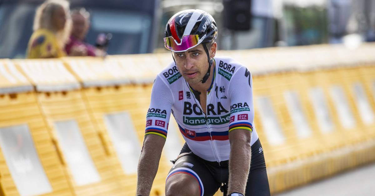 Il ritorno di Peter Sagan nel tour del Benelux dopo sette settimane: ‘Se vedo un’opportunità, la coglierò’ |  Ciclismo