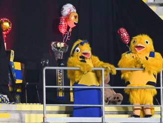 Sensatie op het veld, liefde tussen mascottes in de tribune van Stayen