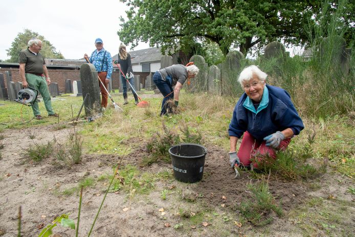 Op de Joodse begraafplaats zijn vrijwilligers bezig met onderhoud. Vanaf links: Frank Overweg, Kees van ’t Hoff, Joke Niekamp, Hennie Letteboer en op de knieën Willy Broersma-Roosekrans.