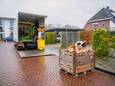 Een gespecialiseerd bedrijf heeft de henneplanten in Winschoten afgevoerd en vernietigd.