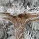 Helft Duitsland ziet al wit en sneeuwstorm teistert Alpen