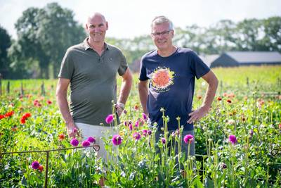 Louis en Louis organiseren dahliawandeltocht over paadjes waar je normaal gesproken niet mag komen