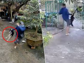 De schaamte ver voorbij: man grist hond weg van baasje om die te verkopen als vlees