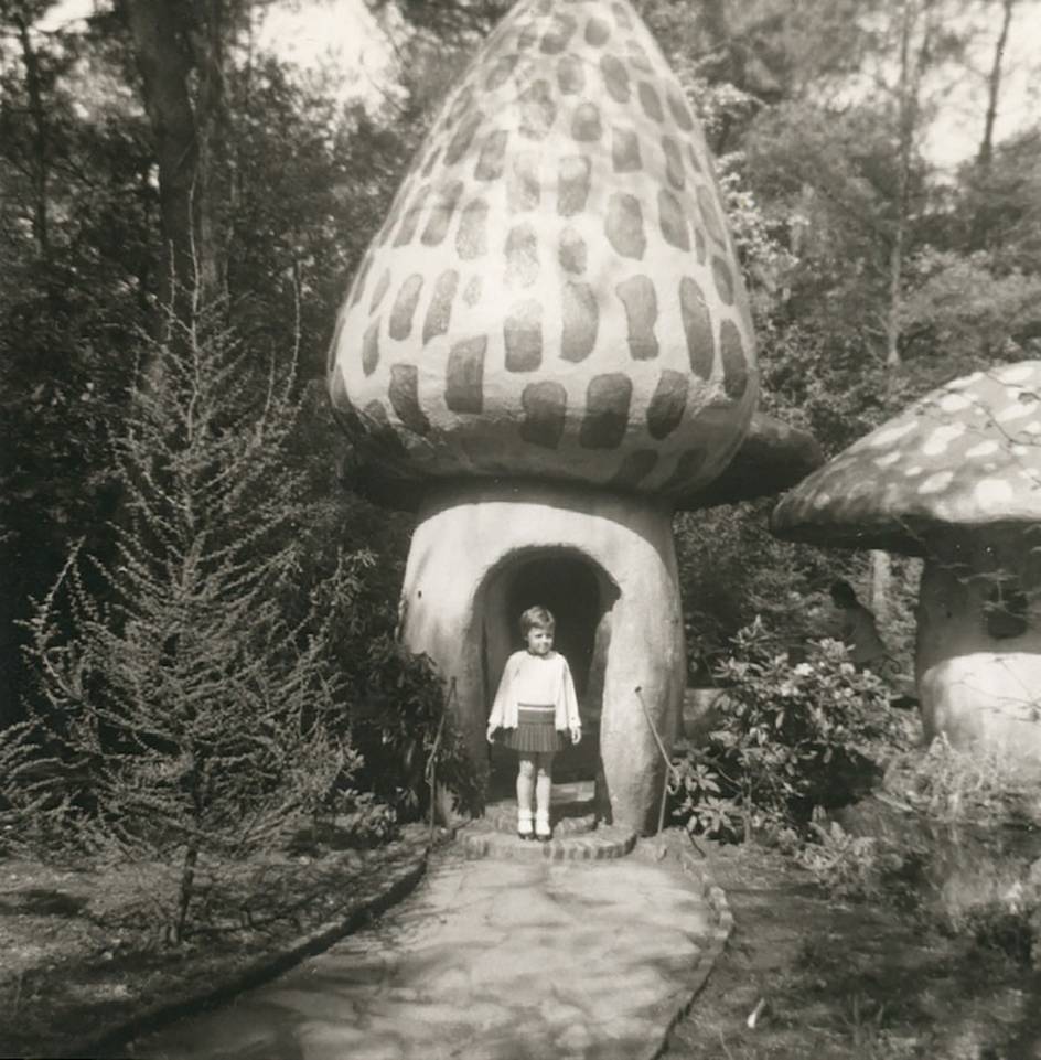 Wat is de succesformule van de Efteling? | TROUW