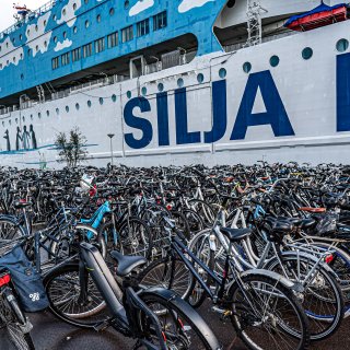 Council supports free public transport for asylum seekers who volunteer