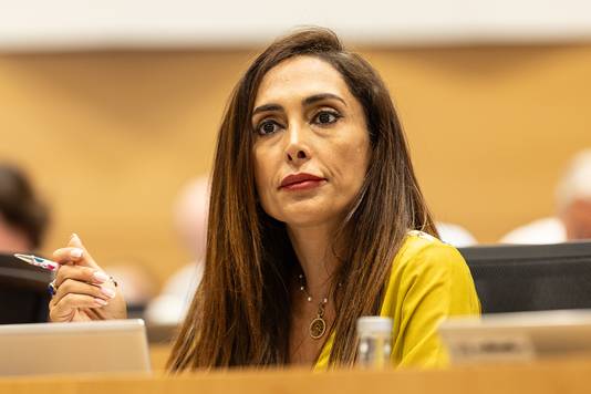 N-VA-Kamerlid Darya Safai blijft ontslag Lahbib vragen.