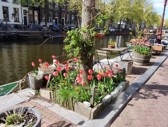 April is voor feest! 5 x dit kun je allemaal doen in Amsterdam deze maand
