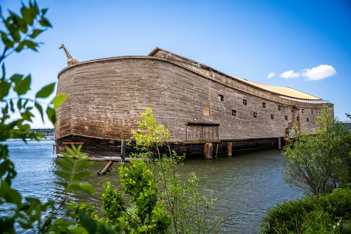 incident Reclame rijst Een groot mysterie: wat gaat er gebeuren met de Ark van Noach? | Rotterdam  | AD.nl