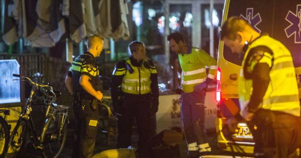 Massale vechtpartij in centrum Doetinchem: politiehond grijpt verdachte, agente gewond en vier arrestaties.