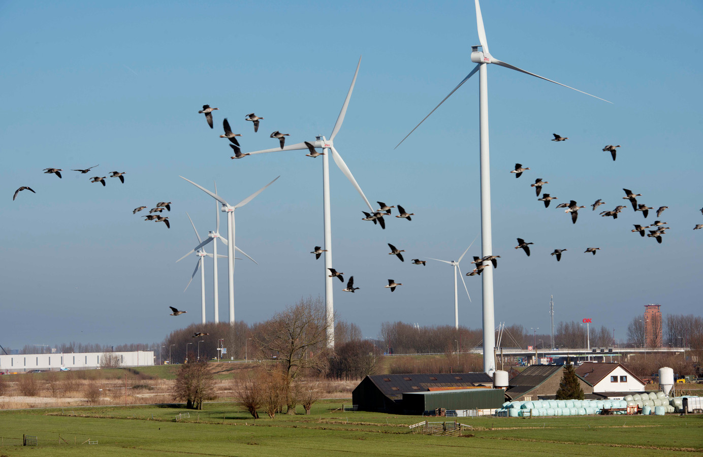 Meer windmolens in de provincie? Zó staan de Utrechtse gemeenten er in ...