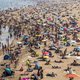 Strandgangers opgelet: giftige pieterman zwemt ook bij Nederlandse kust
