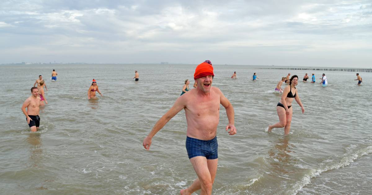 Bij de nieuwjaarsduik in Breskens is maar één ding dat een beetje winters aanvoelt: het koude water 
