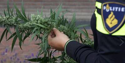 Meer dan 1100 hennepplanten en 20 kratten gedroogde wiet gevonden in pand in Vortum-Mullem