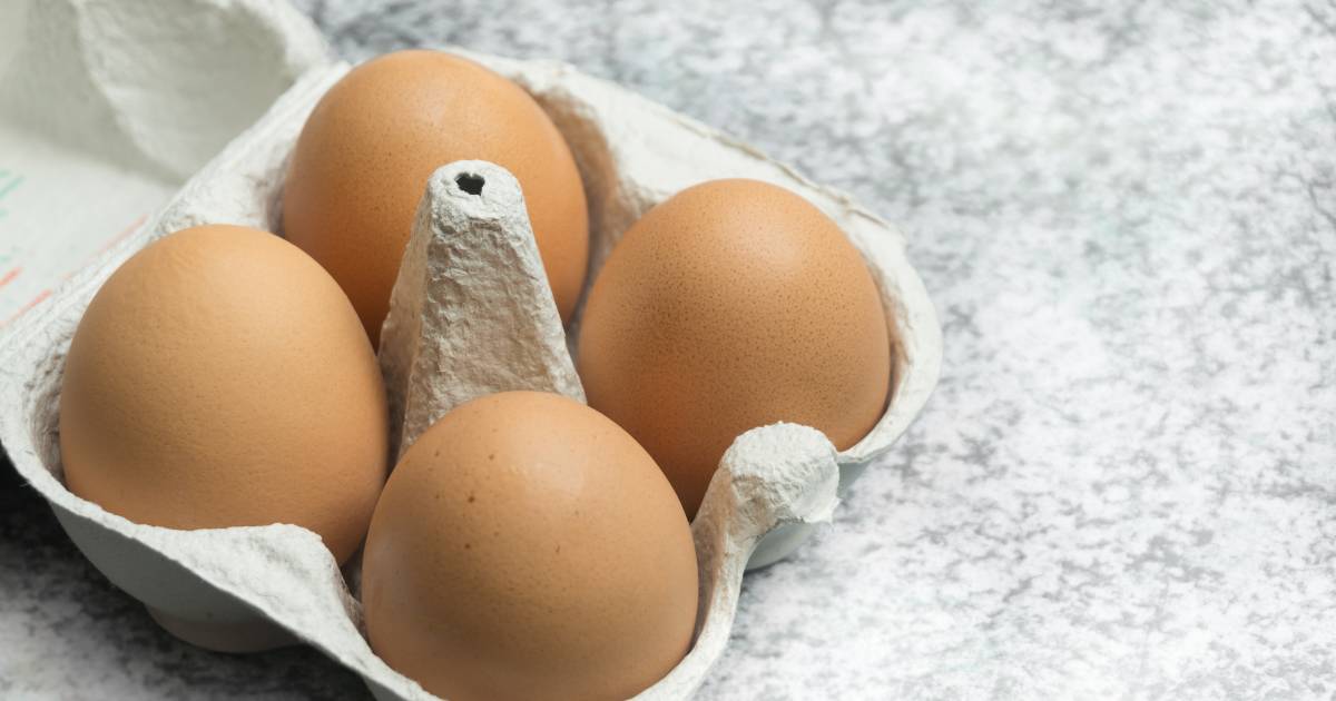 kassa In tegenspraak Vervoer Hoe bewaar je eieren het best? | Beter Eten | AD.nl