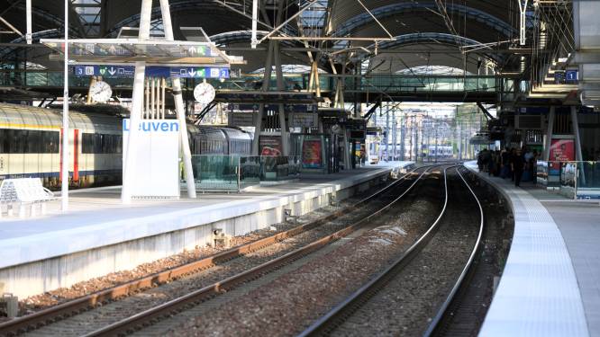 Vrouw aangerand in station Leuven: 22-jarige dader gevat door bewakingsagent 
