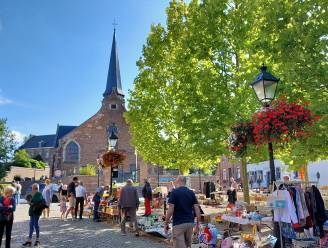 Lente brengt heropstart Rommelmarkt en Antiekmarkt Gaasbeek