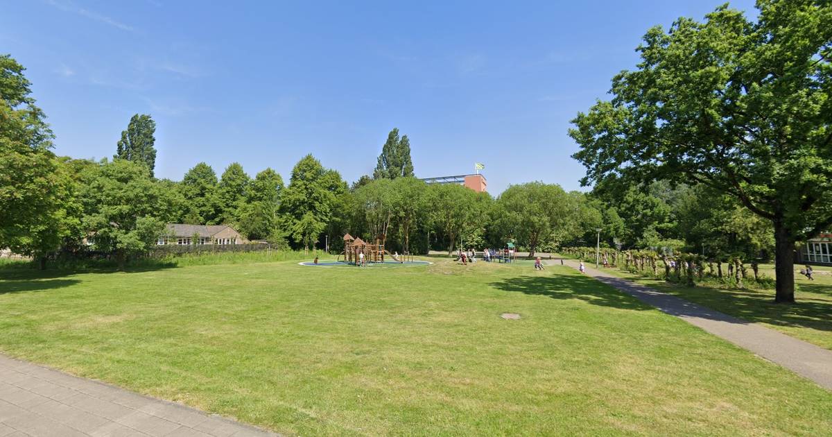 Groengordel in Soesterkwartier Amersfoort op de schop: oude bomen worden gekapt en gesnoeid