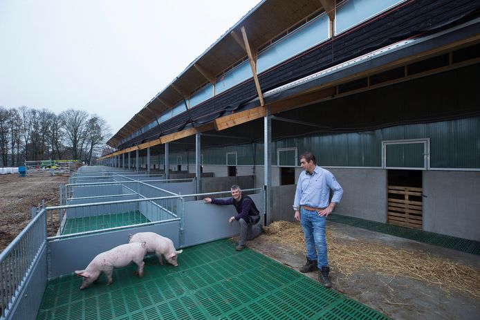 Rob Nieuwenhuis (rechts) en Jeroen Koks bij het concept voor hun diervriendelijke varkensstal.