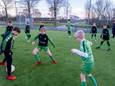 Bij Zeelandia Middelburg wordt al op kunstgras getraind. Deze week wordt ook het hoofdveld omgetoverd tot kunstgrasveld.