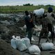 Docu: Snake Dance