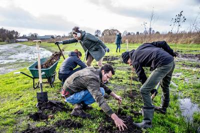 Uit dit bos in Leende komt straks voedsel dat rechtstreeks zijn weg kan vinden naar Hello Fresh en P