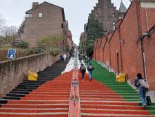 Les escaliers de Bueren, à Liège, repeints aux couleurs de la Palestine