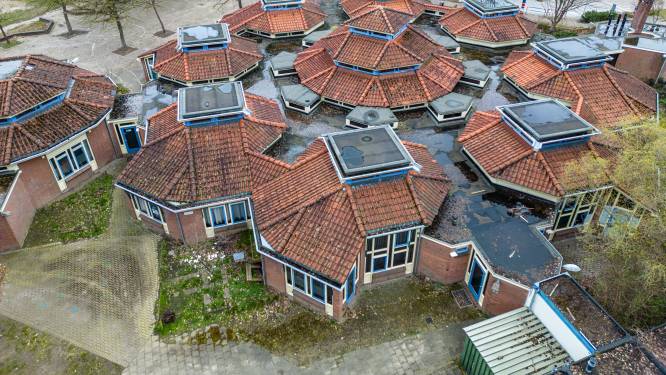 Heumen is om: De Vuurvogel wacht niet de sloopkogel, maar een eerbetoon als ‘uniek’ monument