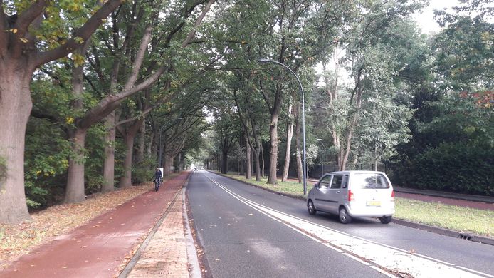 De Bredaseweg in Oosterhout.