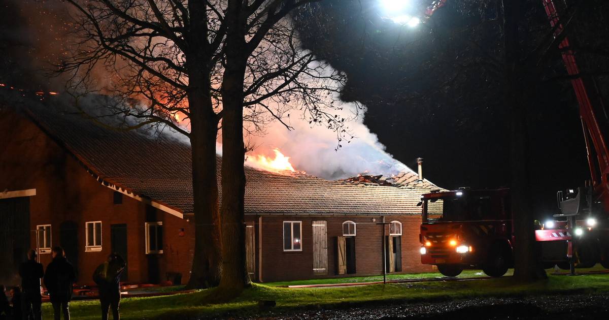 Major barn fire in Zundert under control, dozens of firefighters are putting out |  Zundert