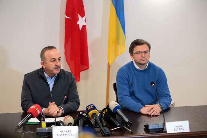 Mevlut Cavusoglu et Dmytro Kuleba.