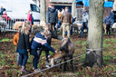 Kinderen aaien de dieren op het Sint-Hubertusplein.