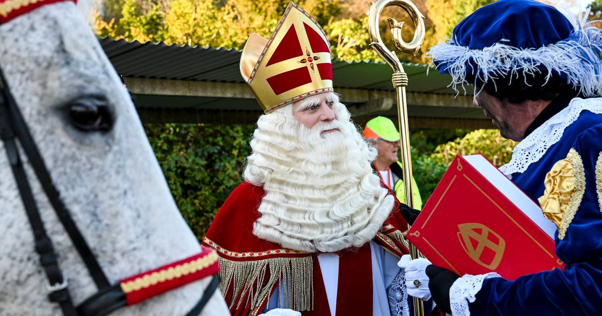 Bouwen Wrok onderwerp Sinterklaas komt naar Het Marca en daar hoort ook een echte Sinterklaasshow  bij | Maarkedal | hln.be