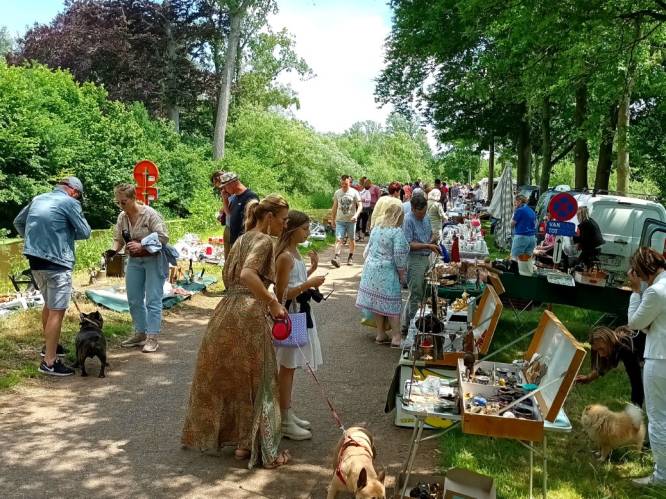 Komende zondag tiende editie van brocantemarkt aan Grobbendonkse Watermolen