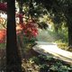 Groene oases boordevol zon: de meest adembenemende kruidtuinen en arboreta