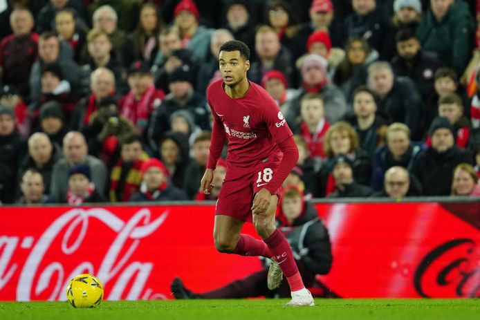 Cody Gakpo verkaste naar Liverpool.