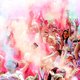 RIVM raadt kleurpoeder op festivals of Color Run af