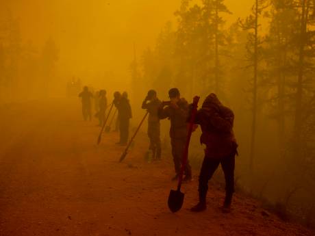 Recordbranden in Siberië: gevaar voor het klimaat en beschermde natuur, waarschuwt WNF