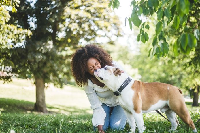 La femme a été gravement blessée et transportée d’urgence à l’hôpital après que ses quatre chiens l’ont attaquée à l’intérieur de sa maison, 6 décembre 2021. Image prétexte.