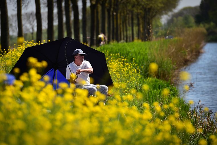 Het aantal sportvissers is flink toegenomen tijdens de coronacrisis. Beeld Marcel van den Bergh
