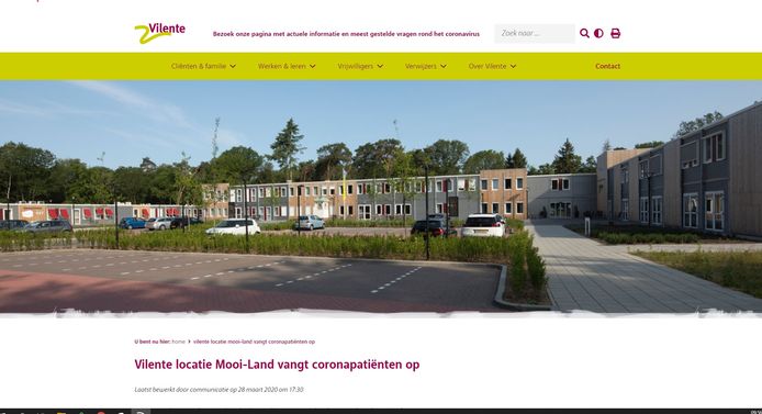 Screenshot van de website van Vilente.