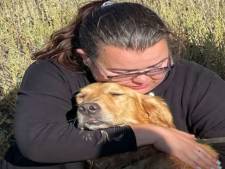 Miracle pour une famille du Colorado: sa chienne disparue retrouvée grâce à un drone infrarouge
