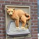 Gevelsteen herinnert aan Kattenbakcentrale: ‘Hij geeft wat jeu aan de straat’