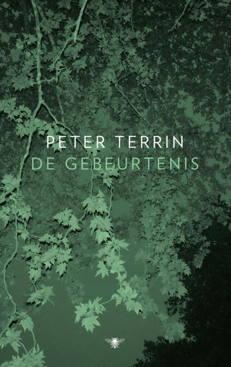 Peter Terrin, 'De gebeurtenis', De Bezige Bij, 220 p., 23,99 euro. Beeld rv
